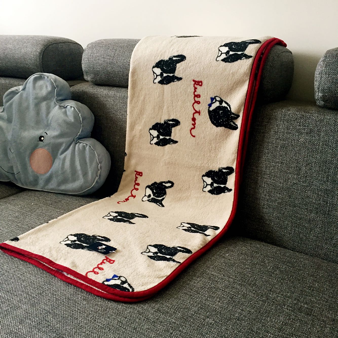 Comfy Coral Fleece Blanket